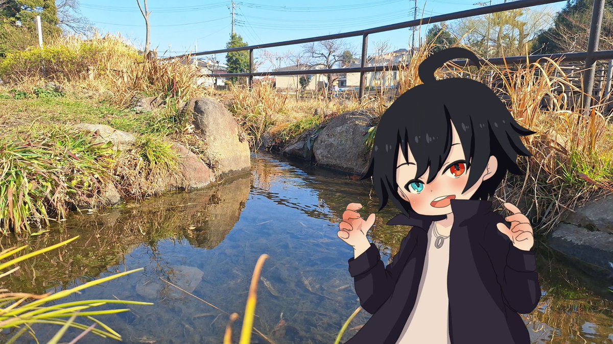 奏ヵ撫 めっくす🎼🫳@大喜利/音ゲー/鉄拳系Vtuber tweet media