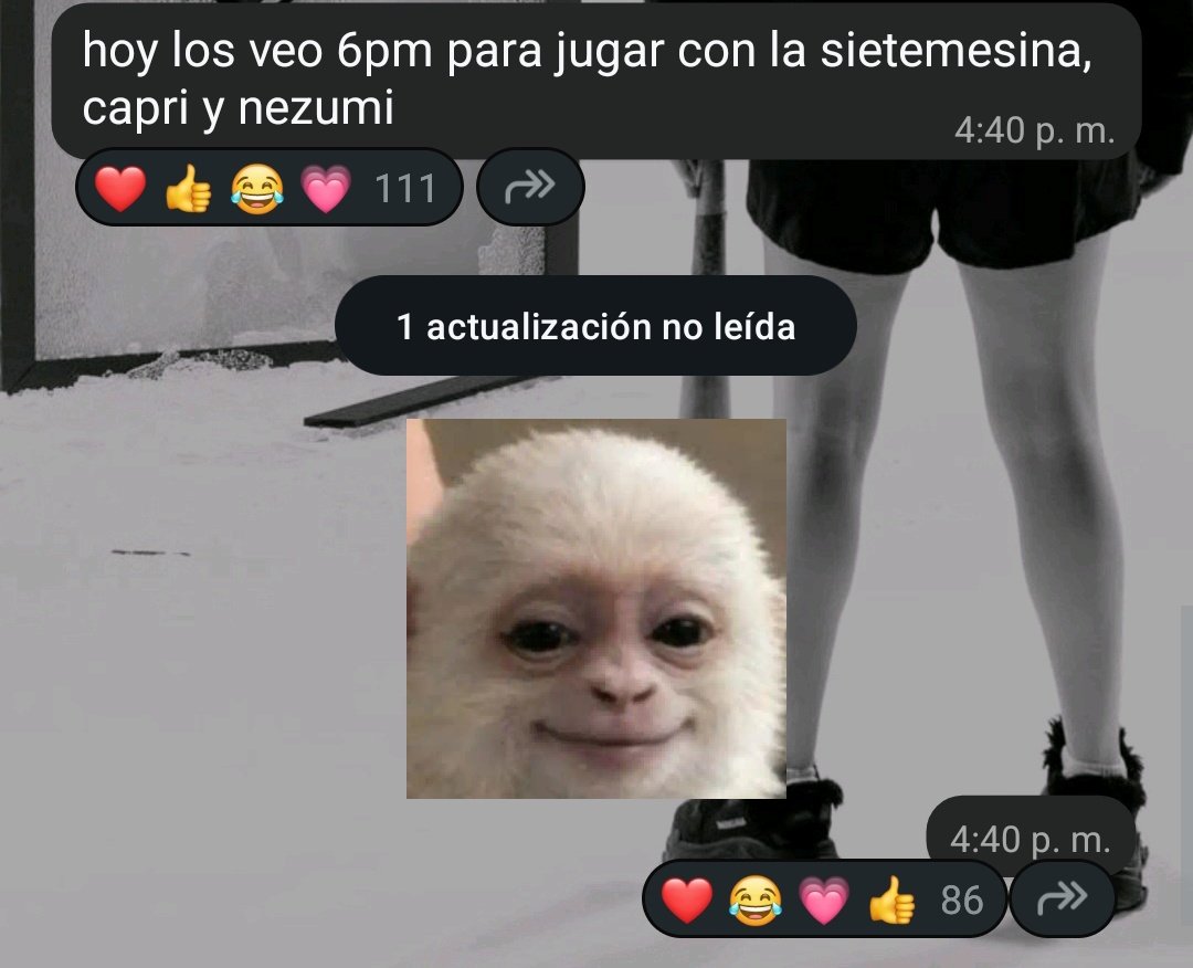 Info rivari tweet media