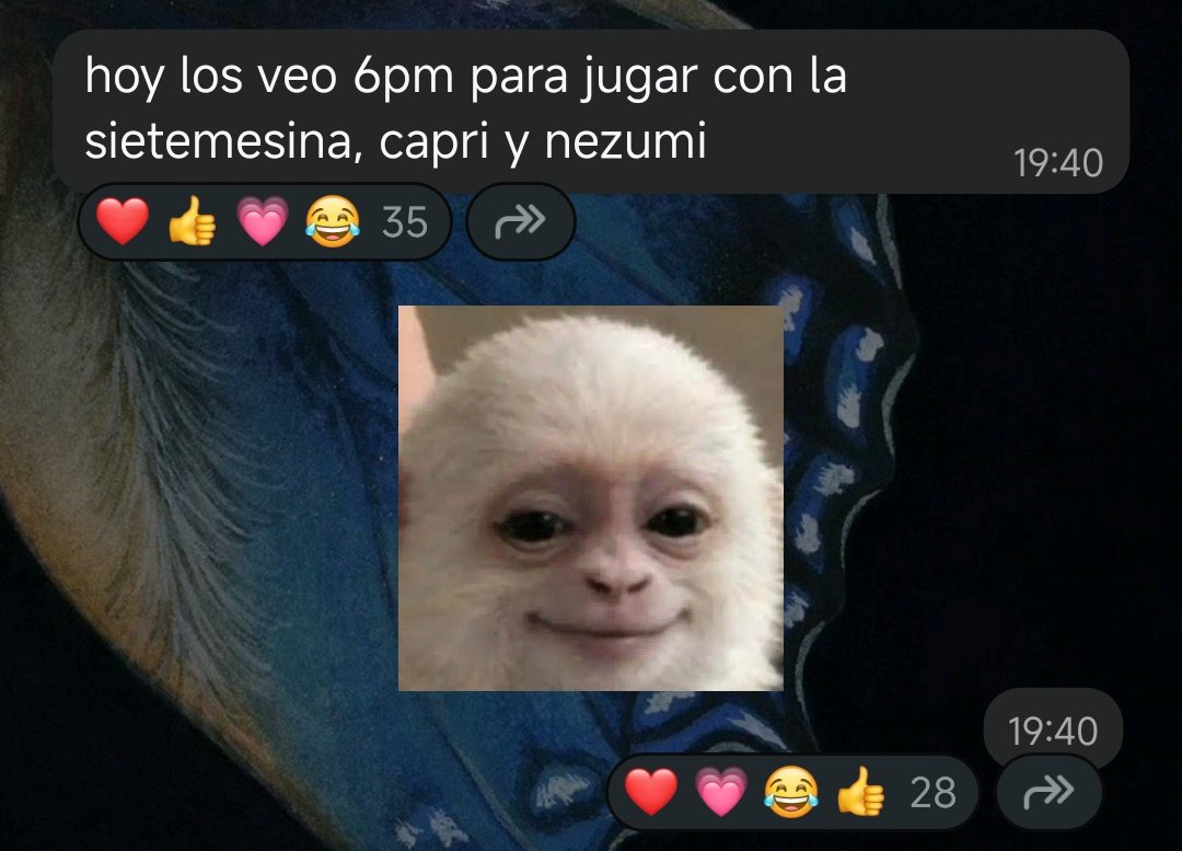 Info Rivers 🐣 tweet media