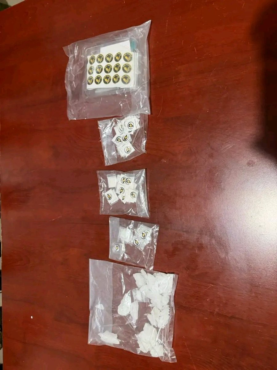 Códices Oaxaca tweet media