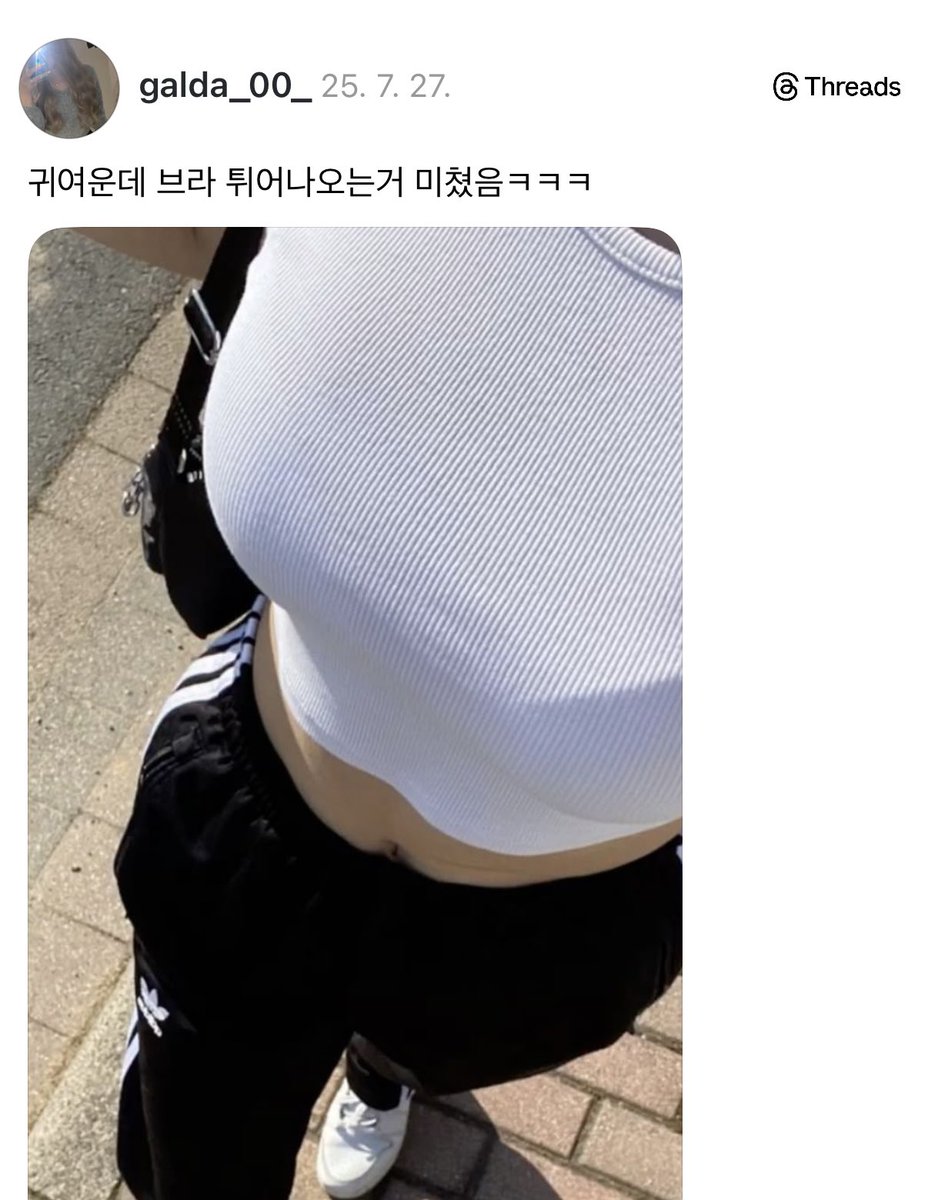 초보자 tweet media