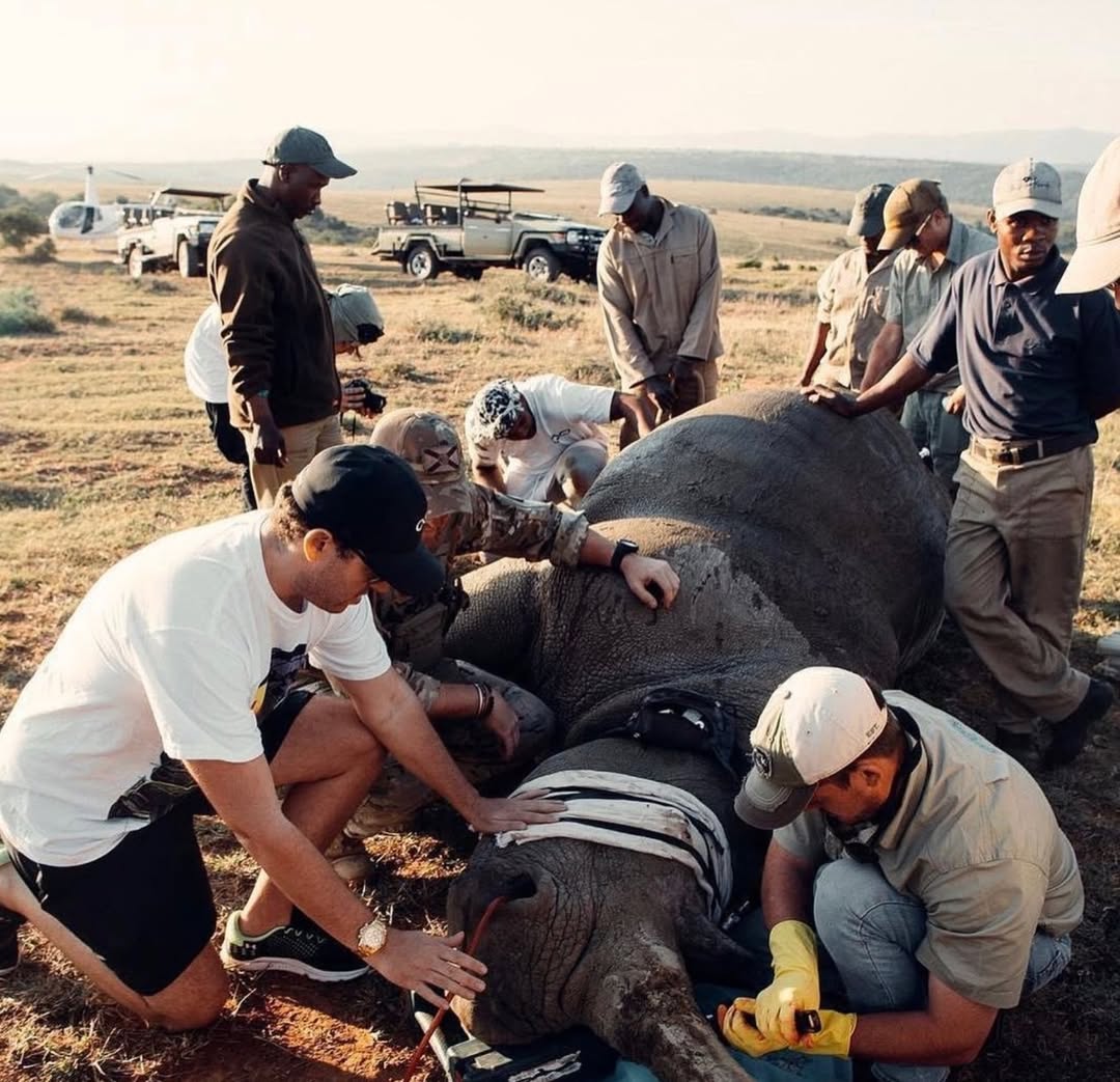 Timothy Sykes tweet media