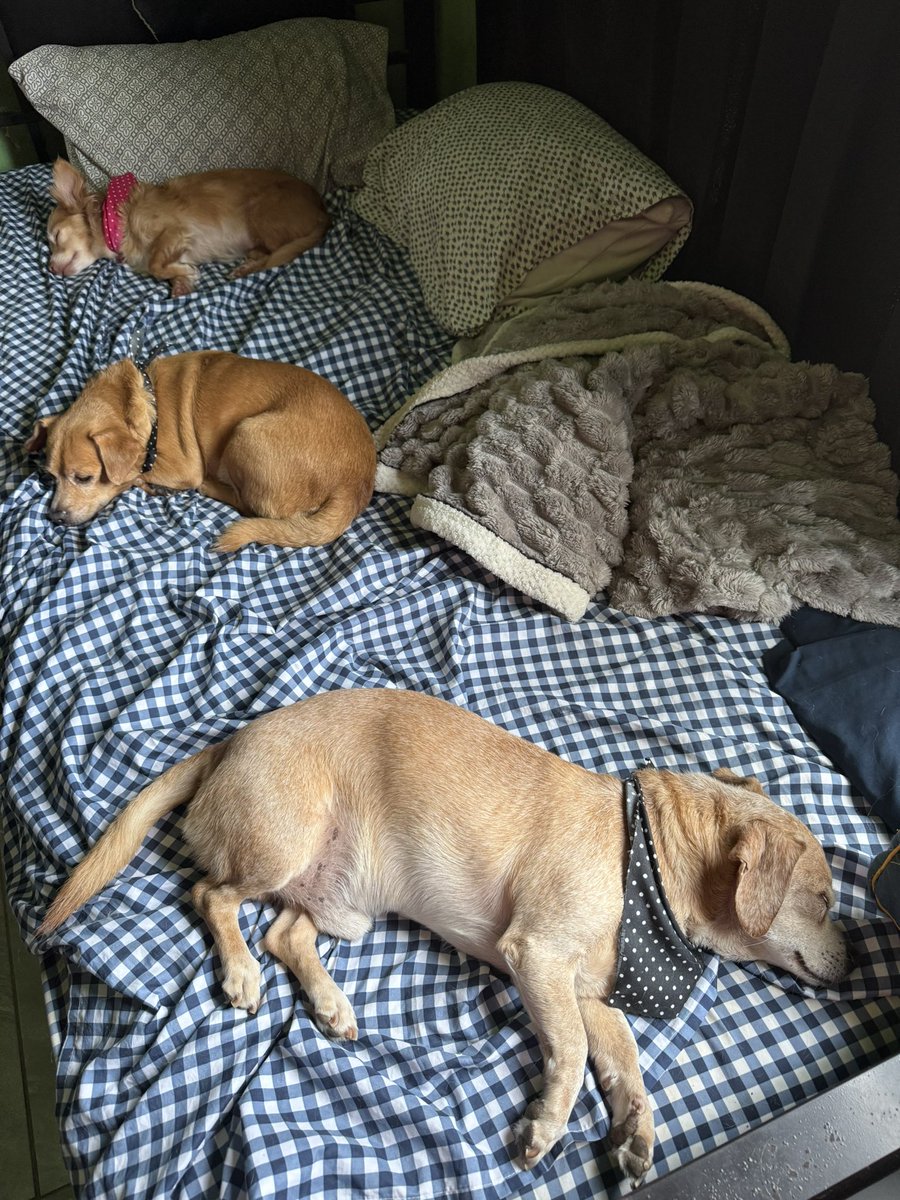 MariusGeorg tweet media