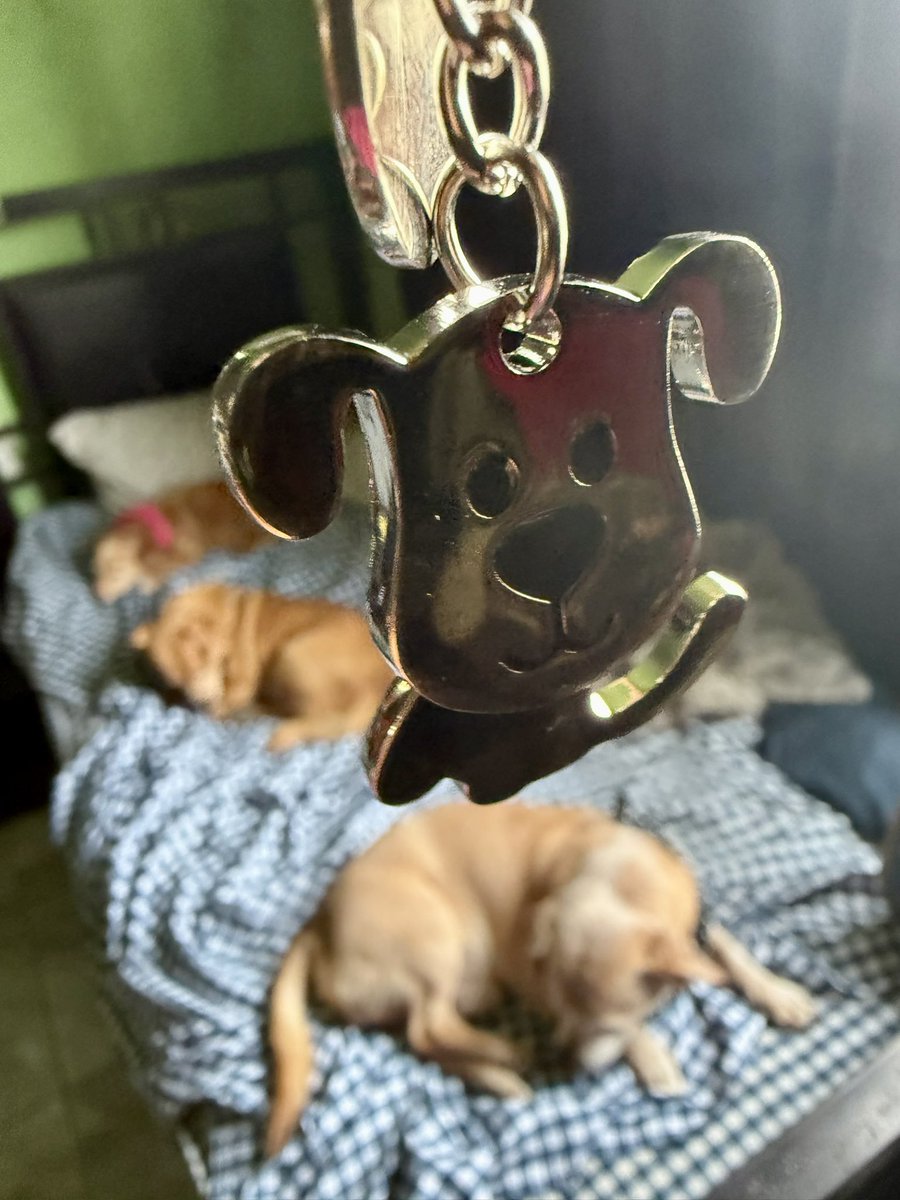 MariusGeorg tweet media