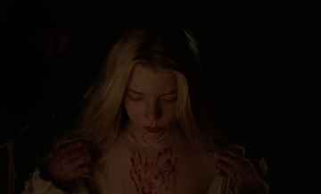 Stephen Gibbons tweet media