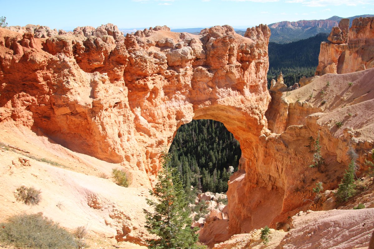 Daily Picture Theme tweet media