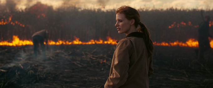 Stephen Gibbons tweet media