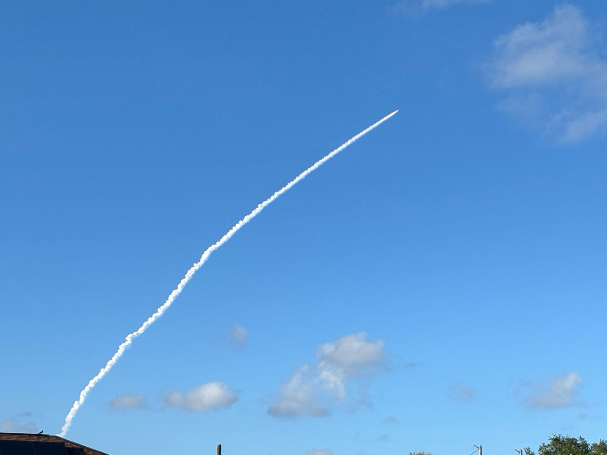 Sully Macchi 💚🧸 ꒰১ VAngeli ໒꒱ tweet media