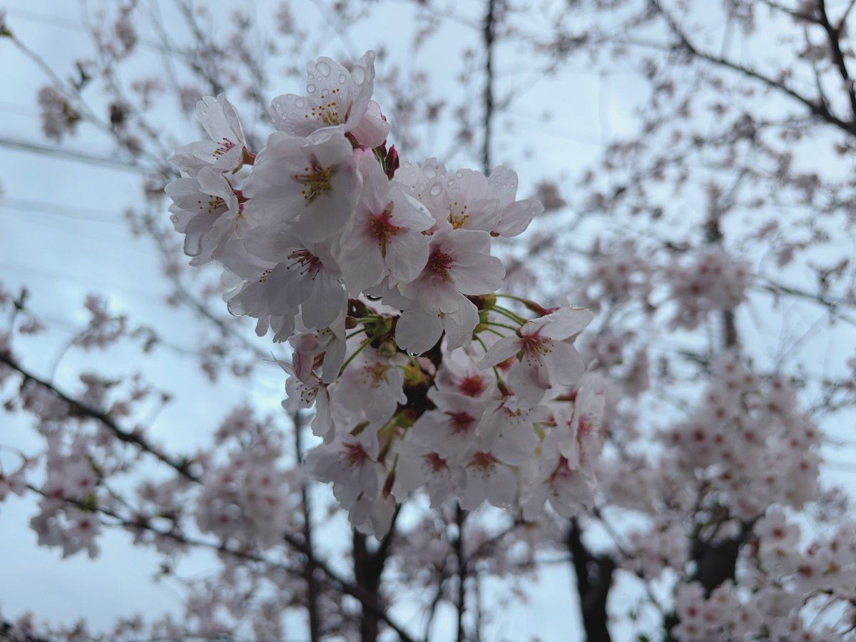 りあ@ˎ₍•ʚ•₎ˏ tweet media