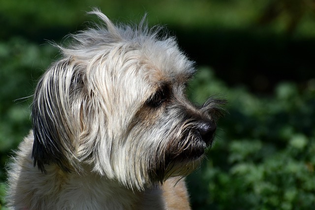 Jeanette Douglas tweet media