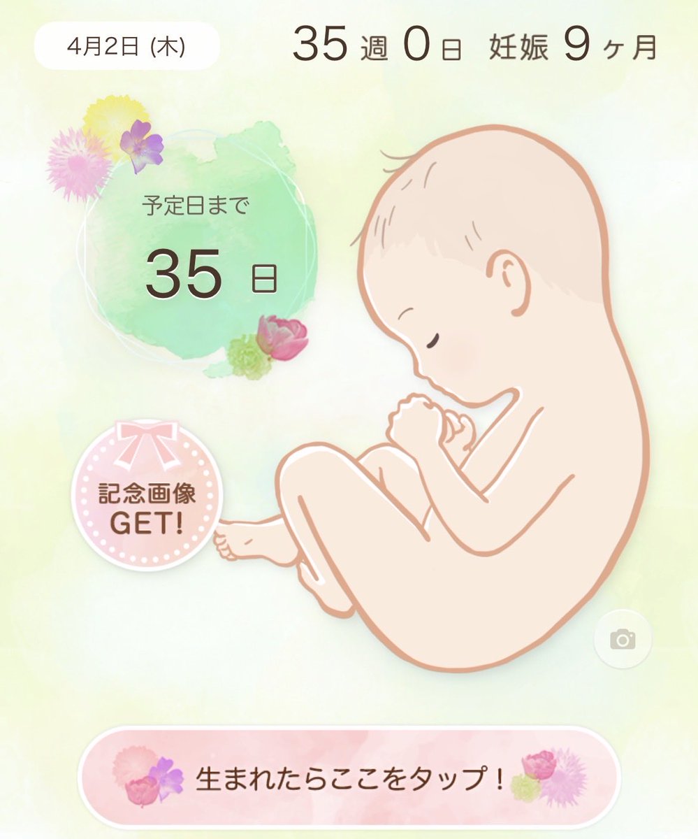 ころ ¨̮⃝ 🌷初マタ35w tweet media