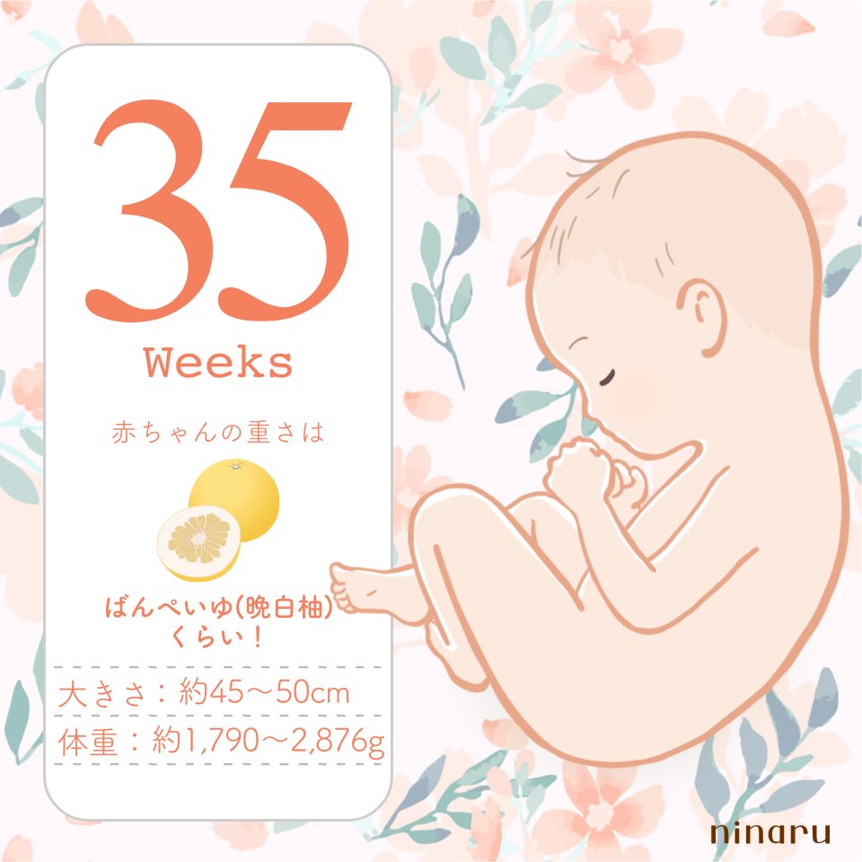 ころ ¨̮⃝ 🌷初マタ35w tweet media