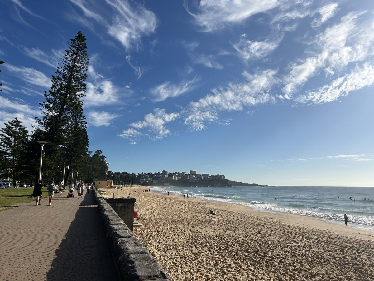 Marinettoski🇻🇦🗿🌴🍸🦜 tweet media