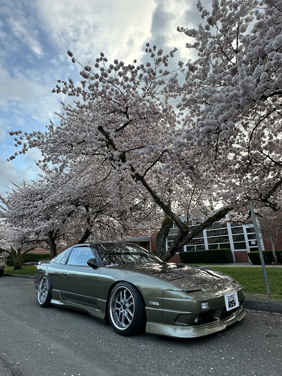 Zack Williams tweet media