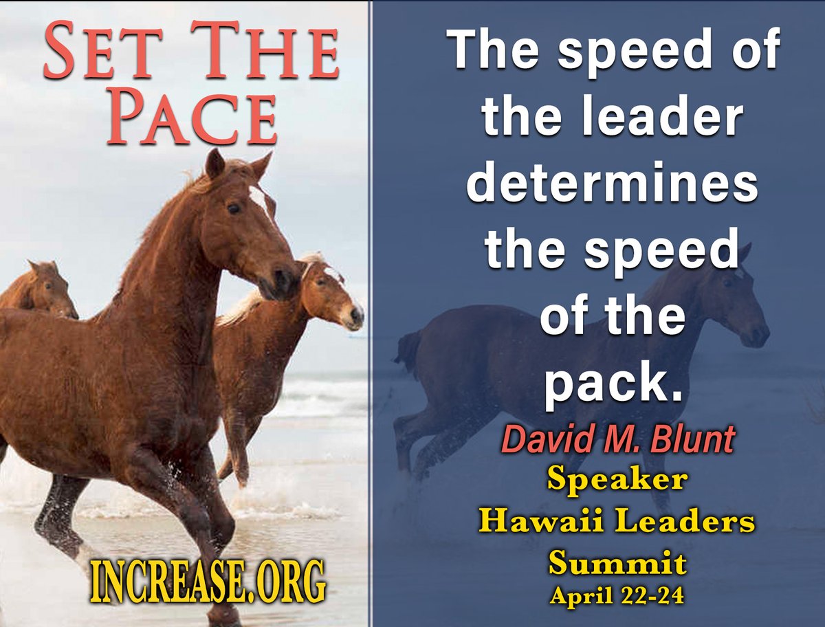 Dr Increase tweet media