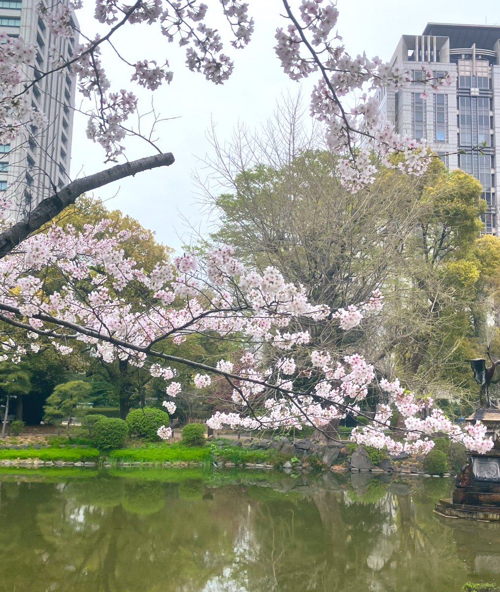 やっくん6 tweet media