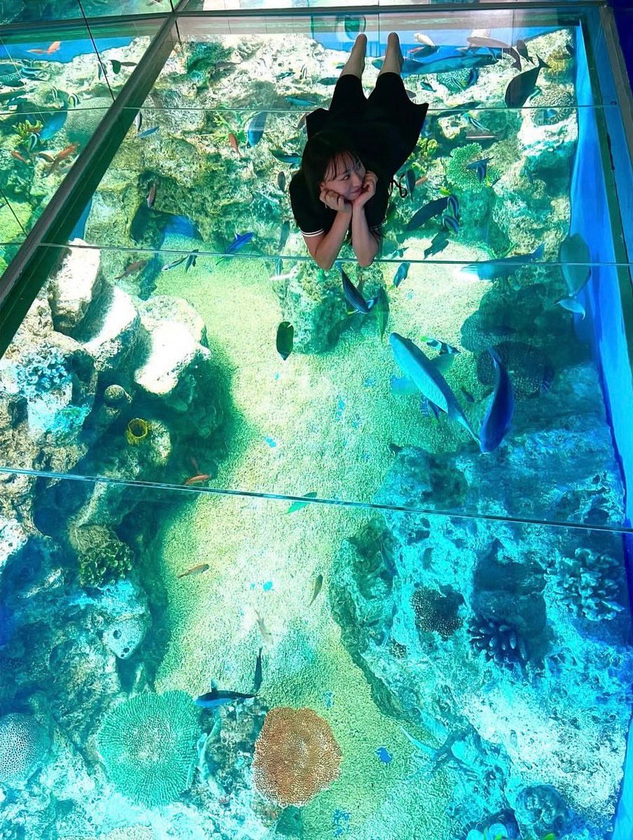 SINFONIA【モデル募集・オーディション開催中】 tweet media