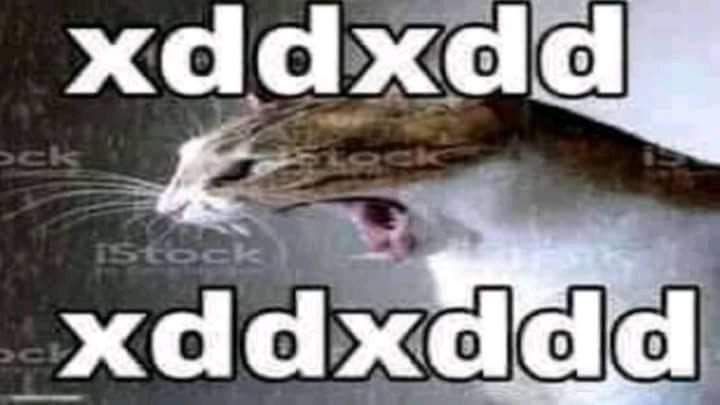 Days without drama on poketwt tweet media