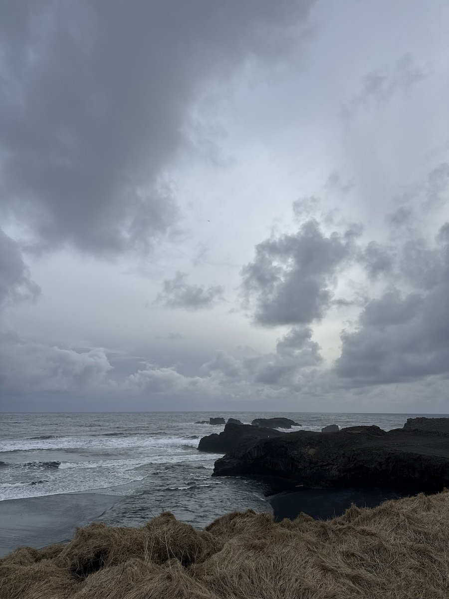 🤙🤙 tweet media