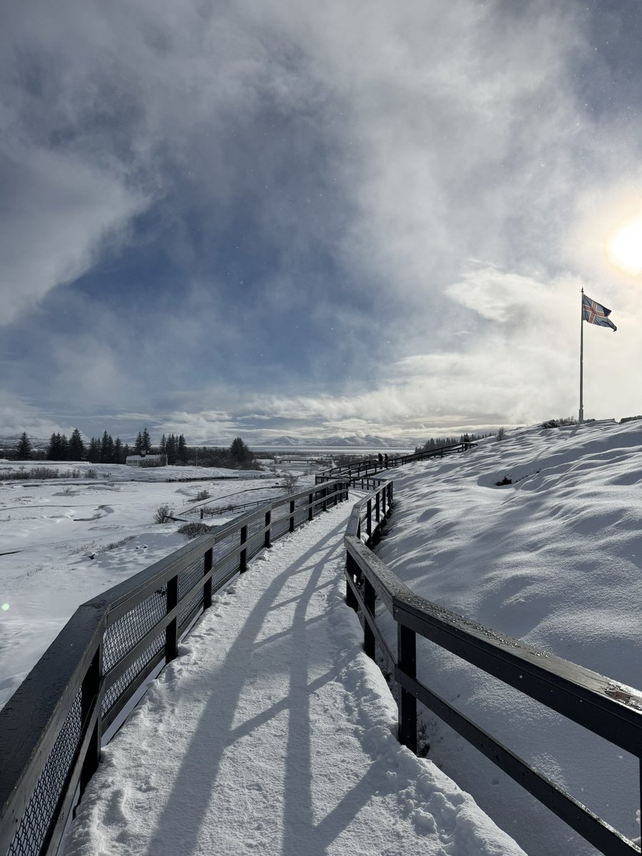 🤙🤙 tweet media