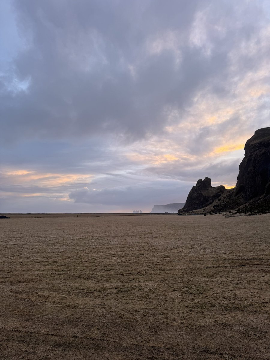 🤙🤙 tweet media