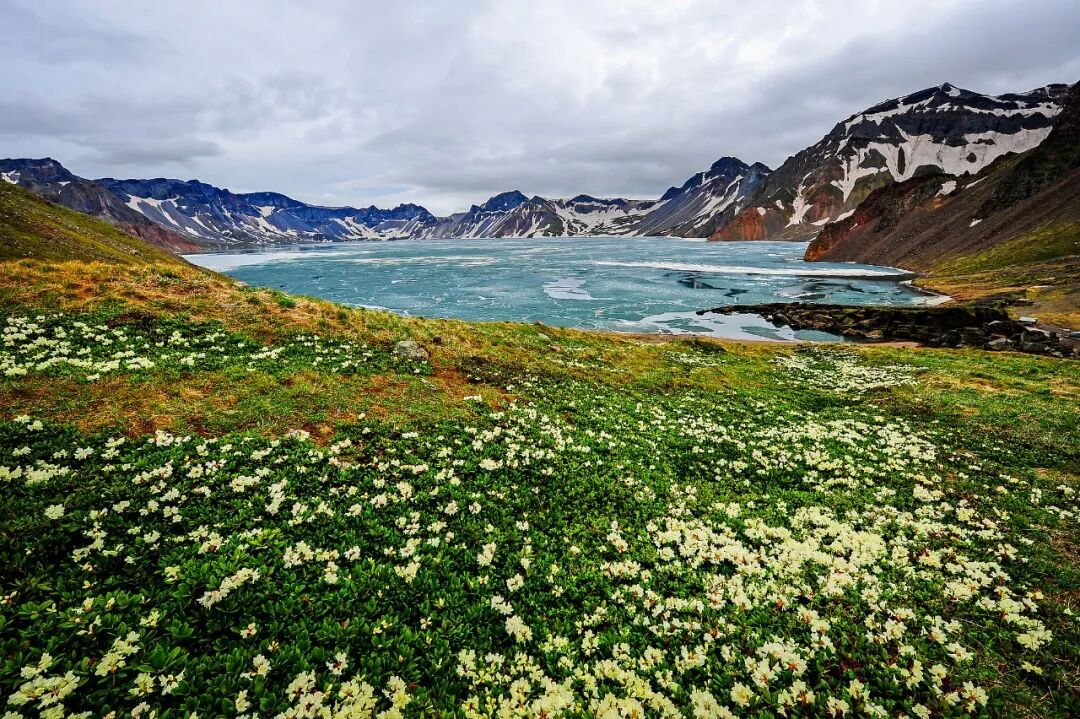 爱生活（互关） tweet media