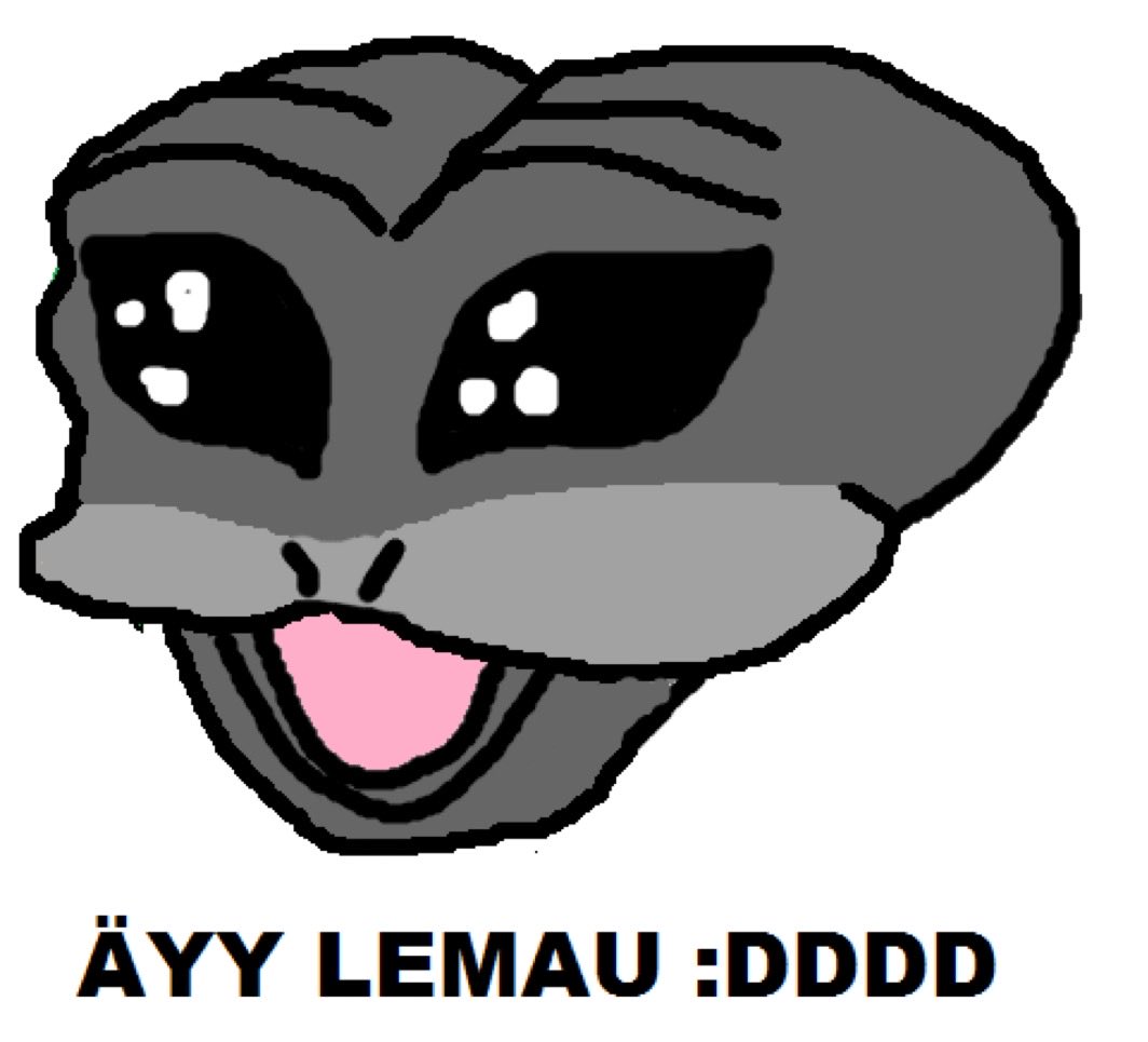 BlunderbussBilly tweet media