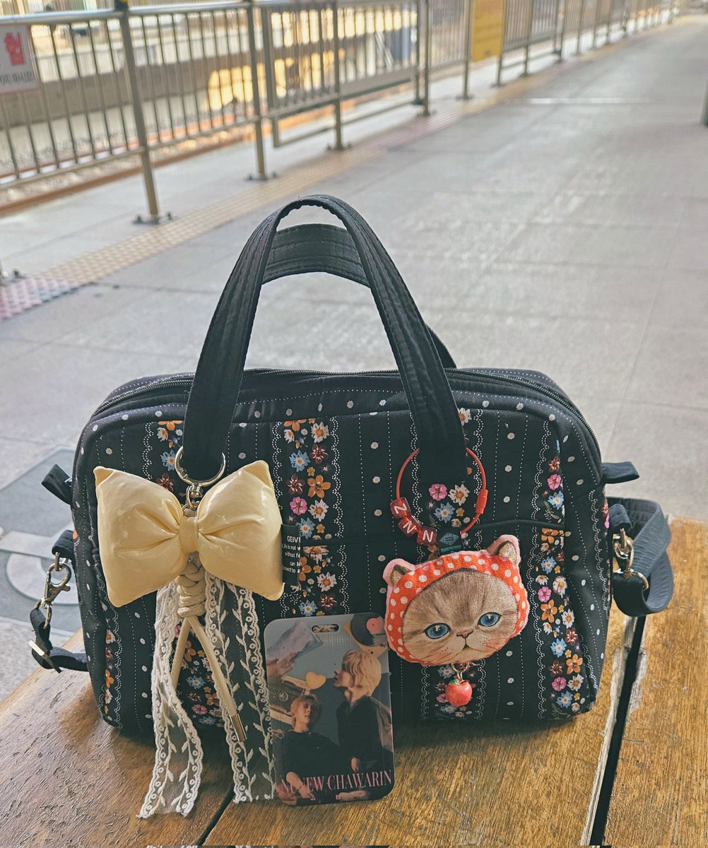 라온제나˙ᴥ˙ tweet media