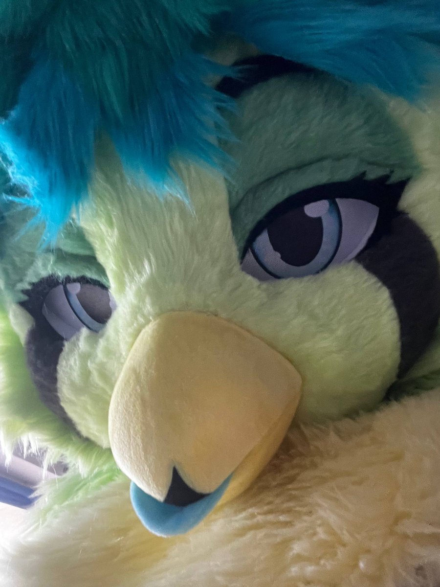 propaneko (Enelorin) tweet media