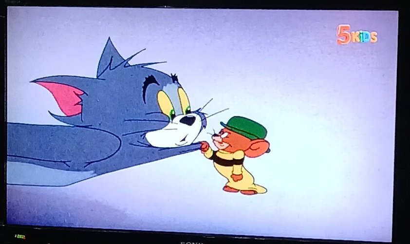 its doudou tweet media