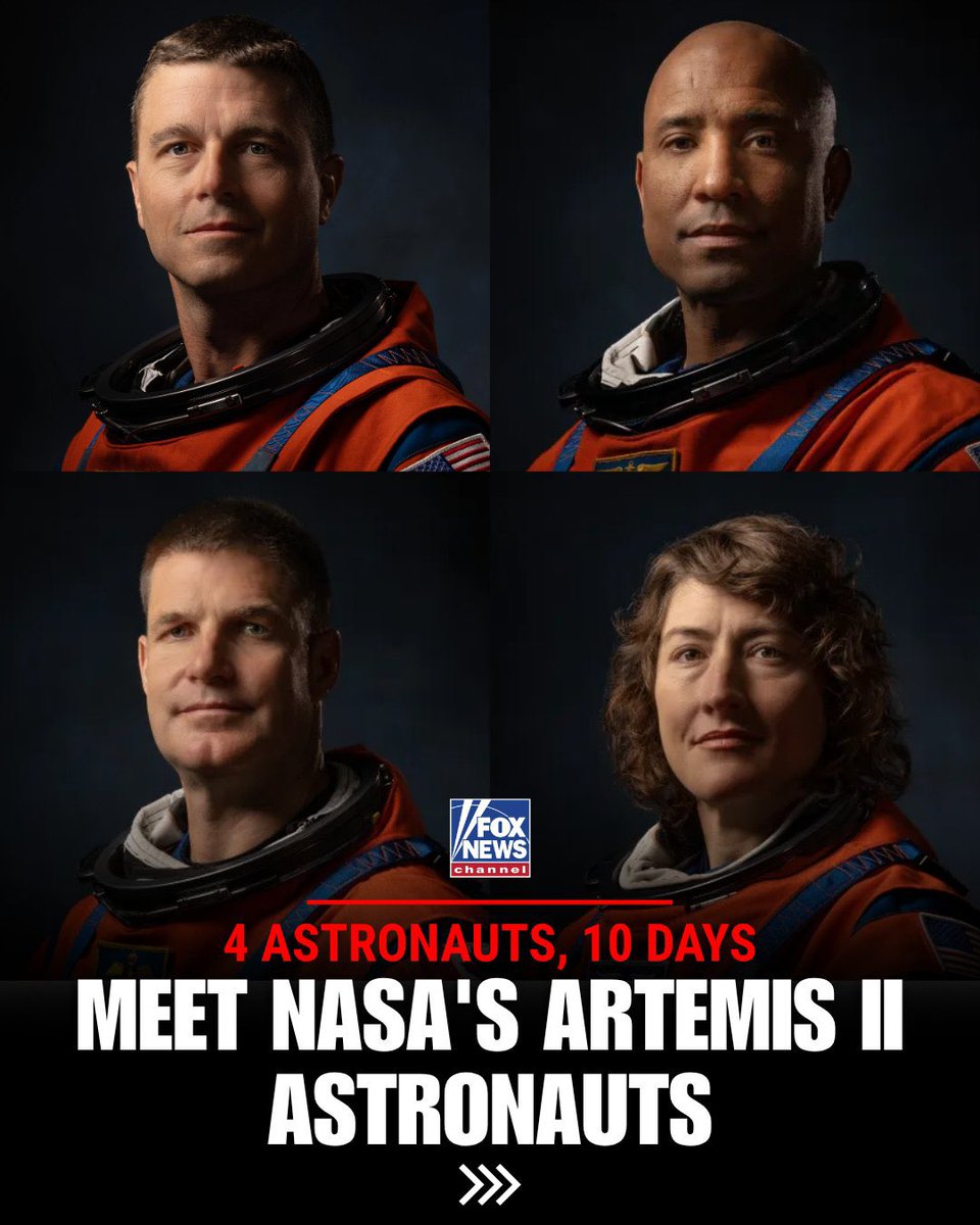 Prince Lion🤴 tweet media