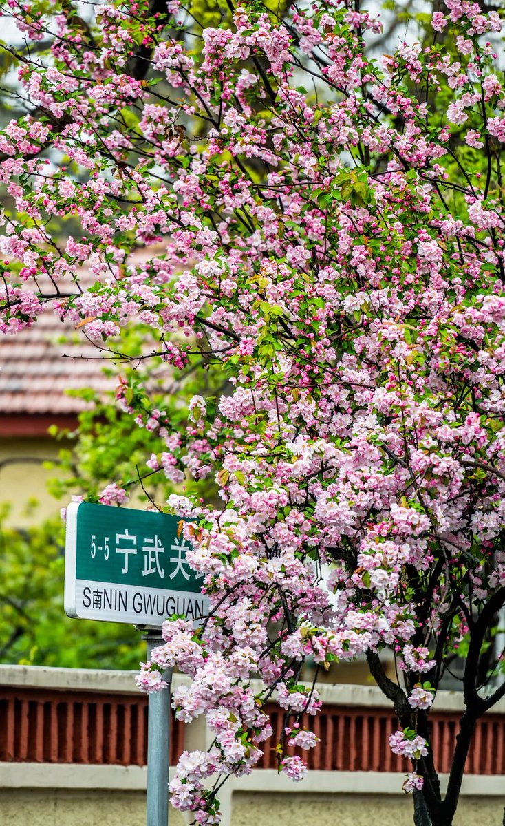 爱生活（互关） tweet media