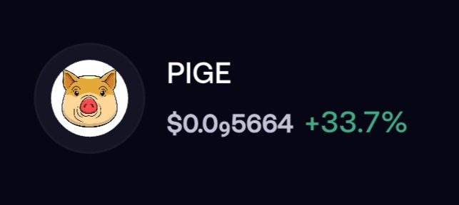 glowybeatz's tweet photo. No one is saying anything About $PIGE #PIGE Abi make I just carry all my pige put for $WKC guys your Advice #wkc https://t.co/rQudp96yMq