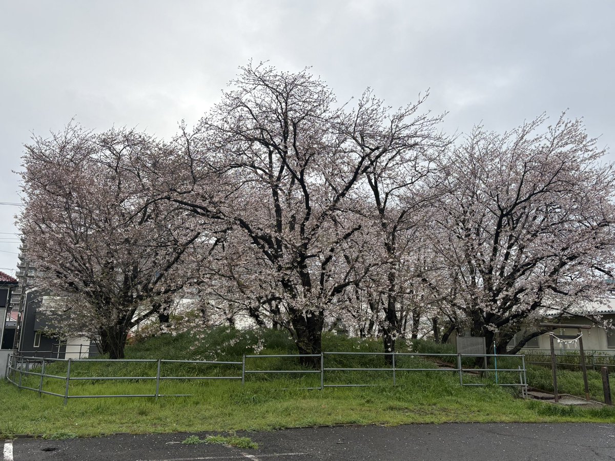 りょう tweet media