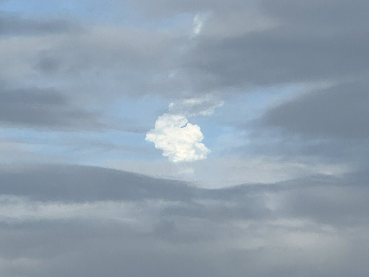 jpomeroy86's tweet photo. Artemis launch seen from Disney’s Epcot. @tonydokoupil #nasa https://t.co/i6qmDKVwqo