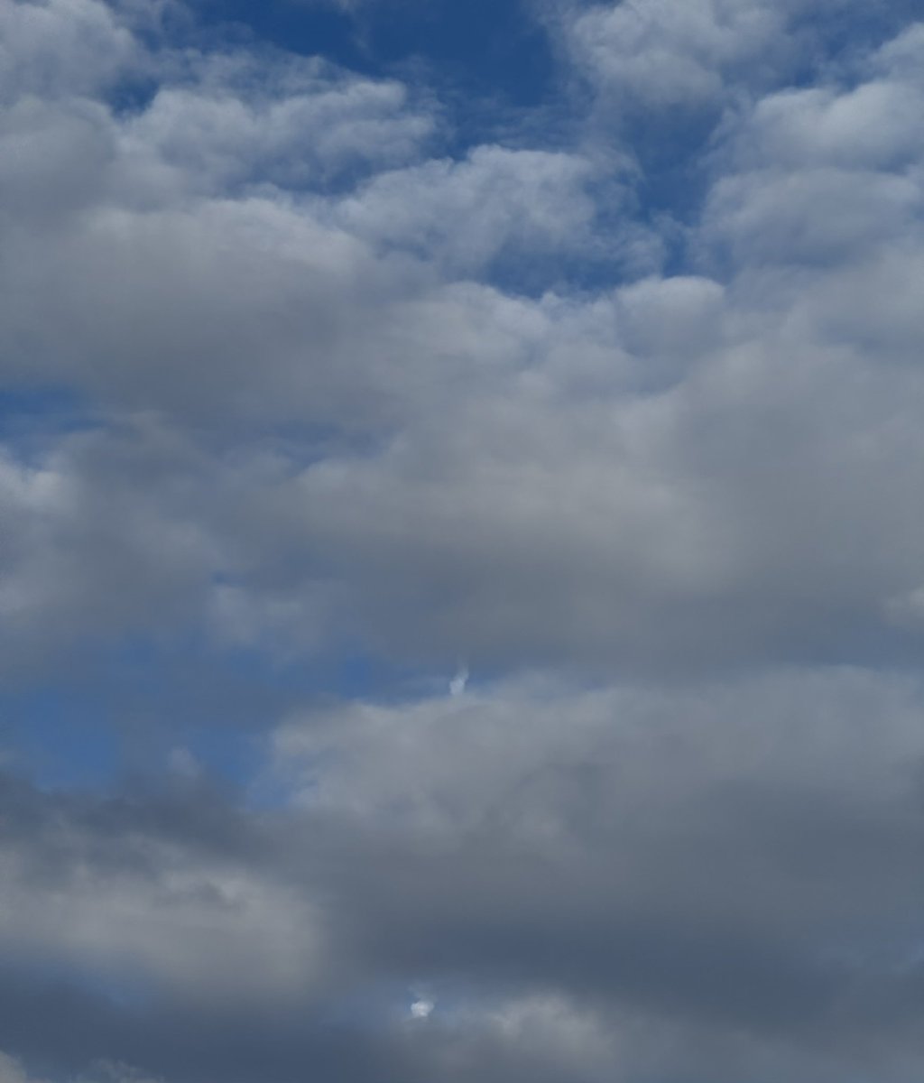 🍊Chen Fang tweet media