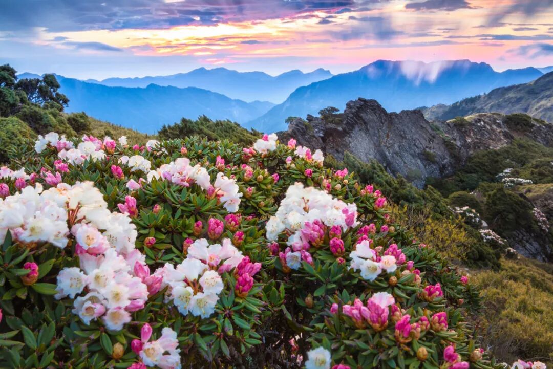 爱生活（互关） tweet media