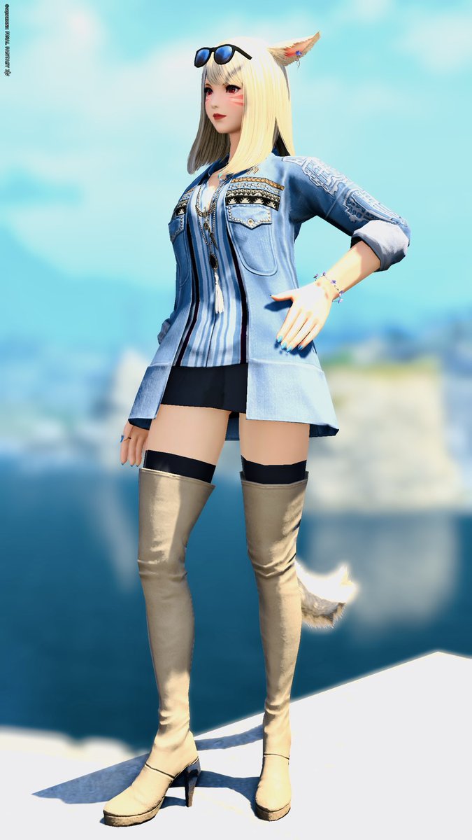 ともも🐈⬛🐾 tweet media