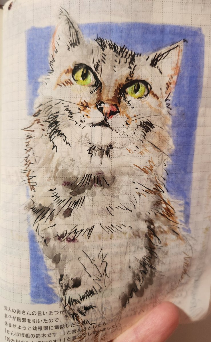 OrangeZeppelin tweet media