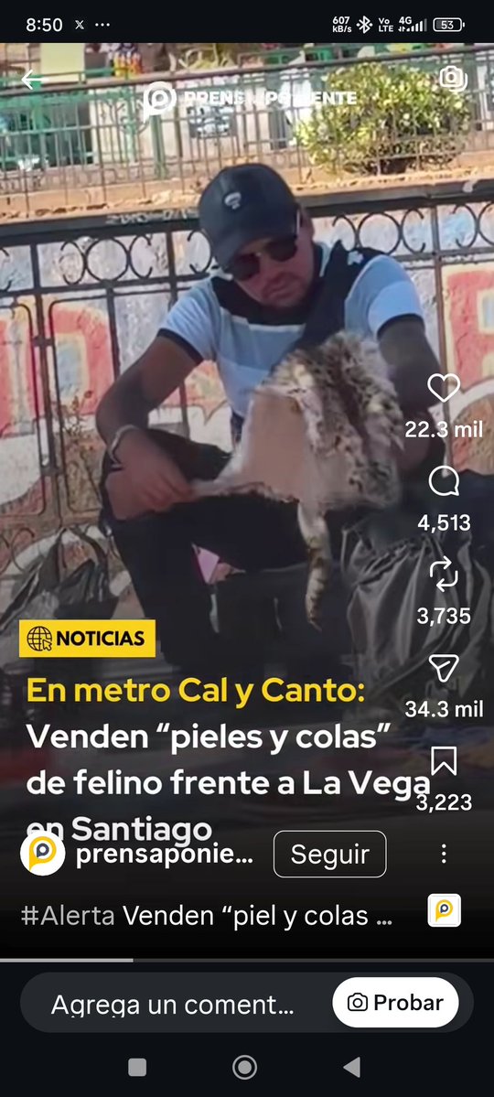 kym 🇨🇱 tweet media