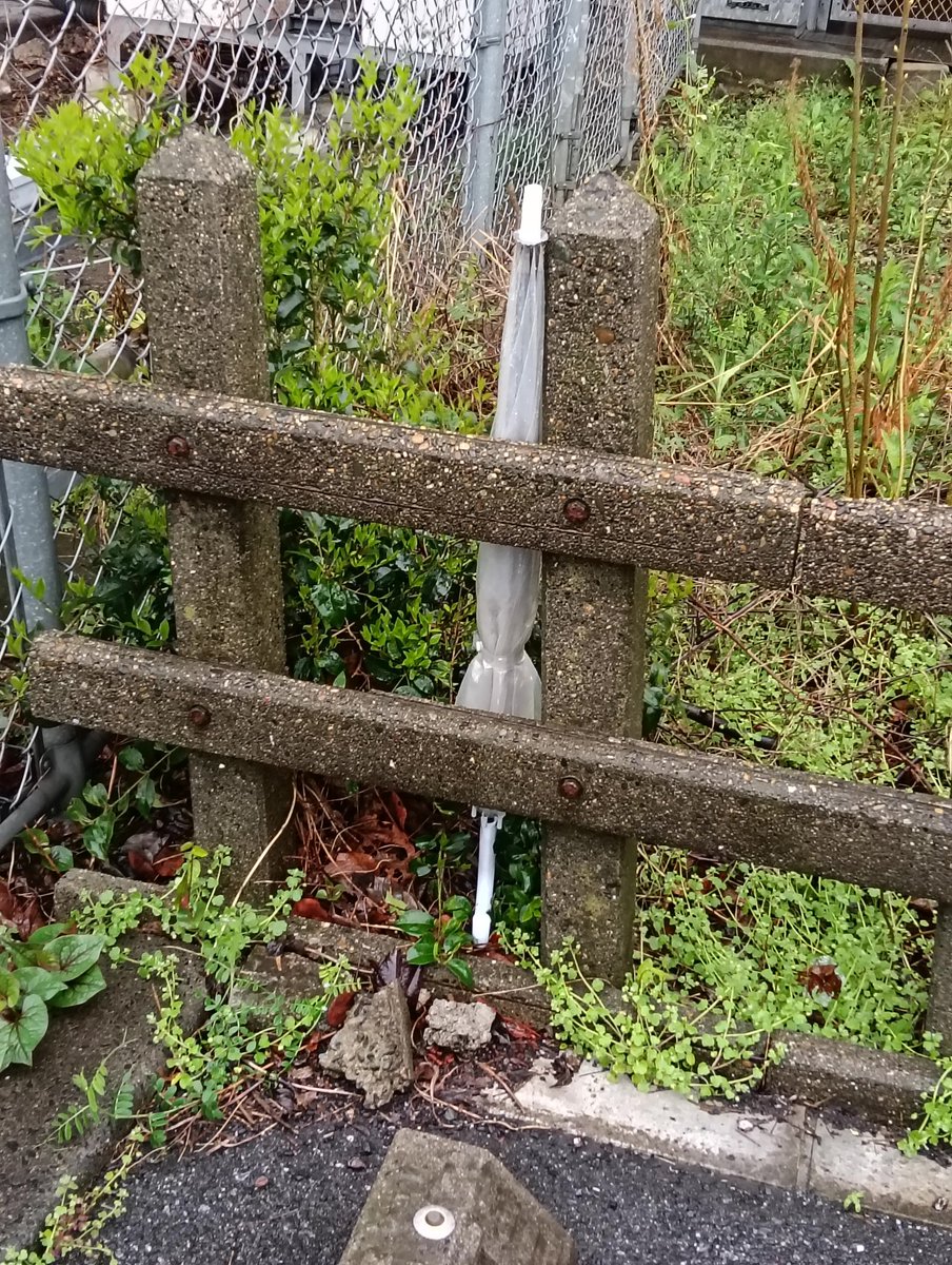 東千葉駅界隈のゴミ拾いしてます tweet media