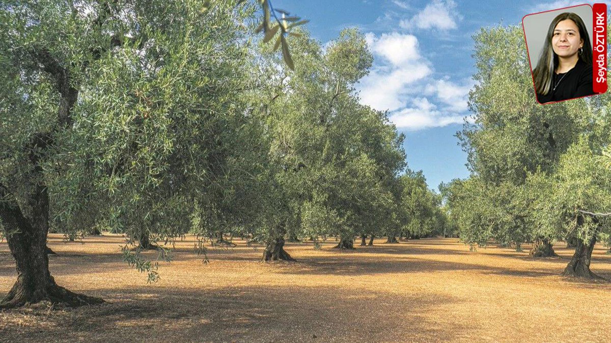 Cumhuriyet tweet media