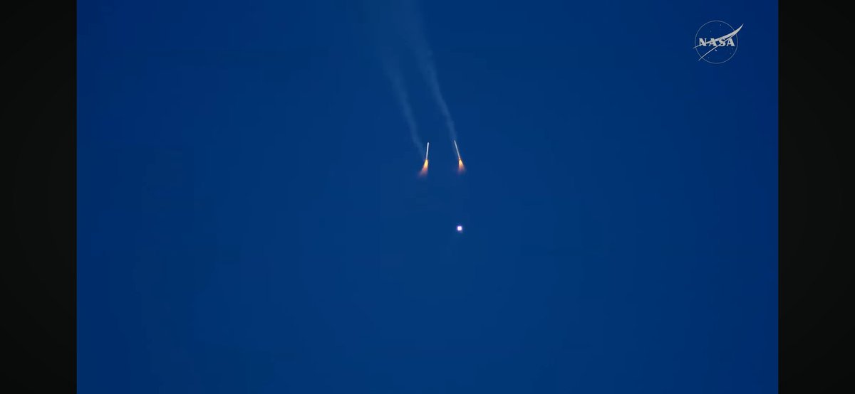 W i k y d e w i tweet media