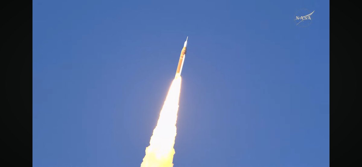 W i k y d e w i tweet media