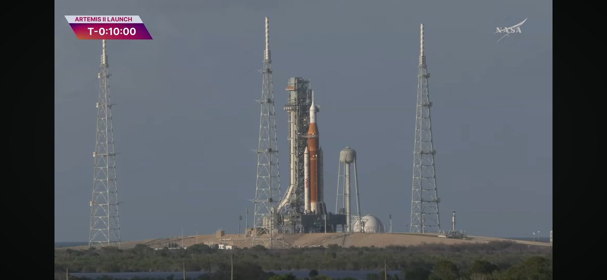 W i k y d e w i tweet media