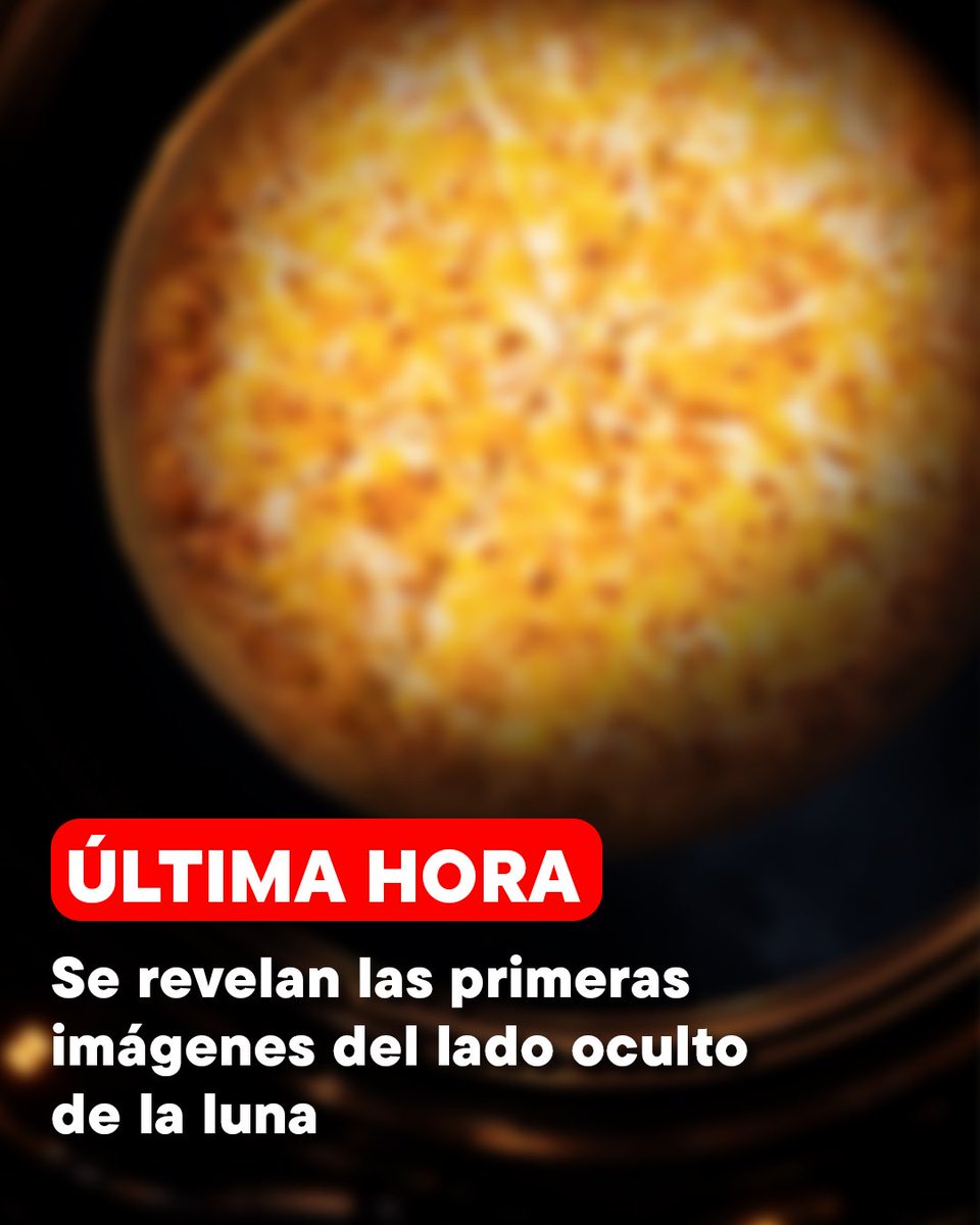 Domino's México tweet media