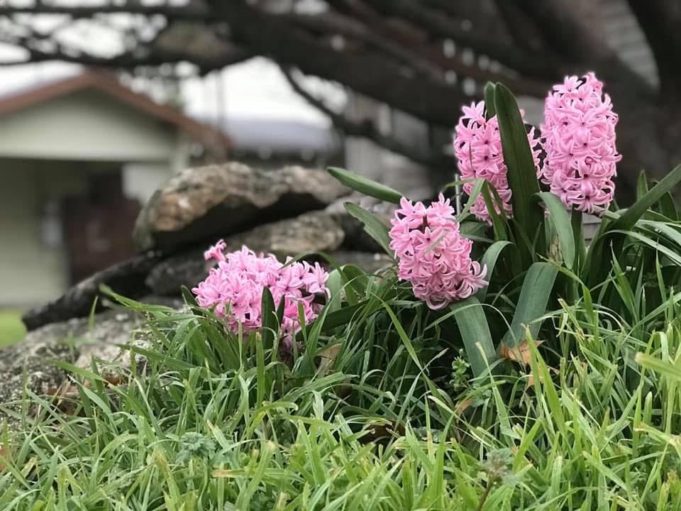 Quinn 🕷 🏳️‍⚧️ ( v \(^•v v•^)/ v ) tweet media