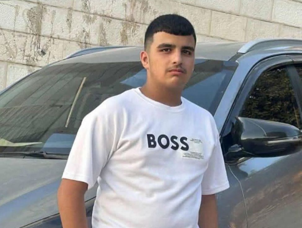 Ihab Hassan tweet media