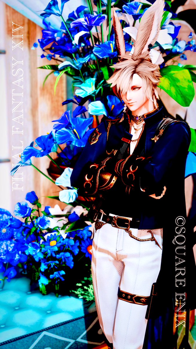 碧(あお) tweet media