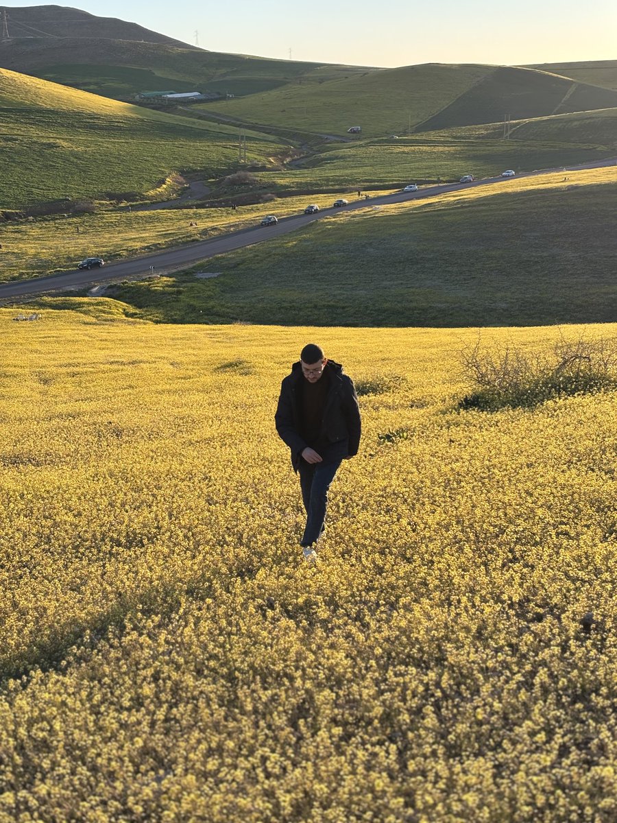 Ōυѕѕαмα tweet media